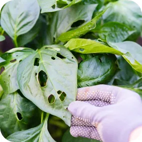 service image Service gallery 3